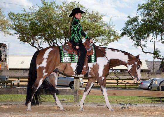 Rachel Doern aboard her paint gelding Hank. He is a favorite patient of ours here at Performance Equine, always a joy to work...