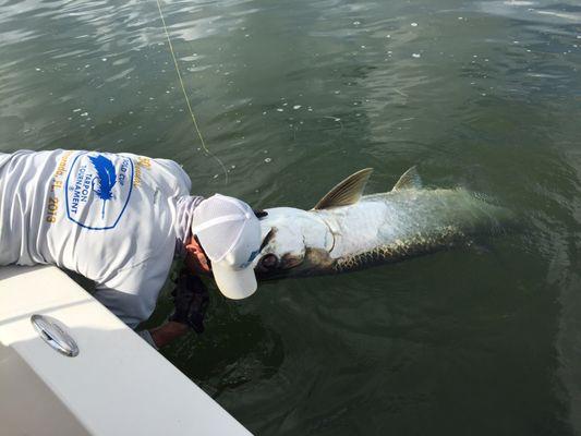 Tarpon Time!