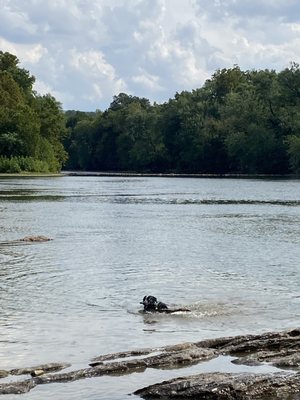 River and my dogs :)