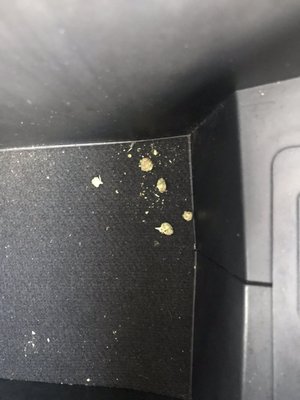 The marijuana that was found in my rental car that "management" did nothing about.