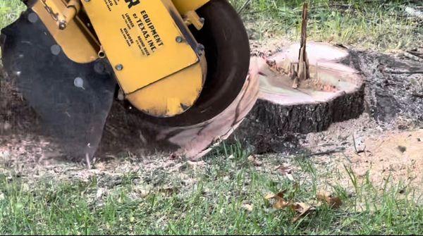 Grinding down the stump