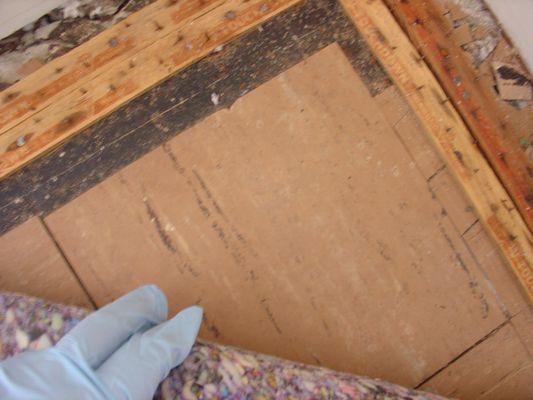 Suspect asbestos-containing floor tile discovered under carpet and pad during demolition survey