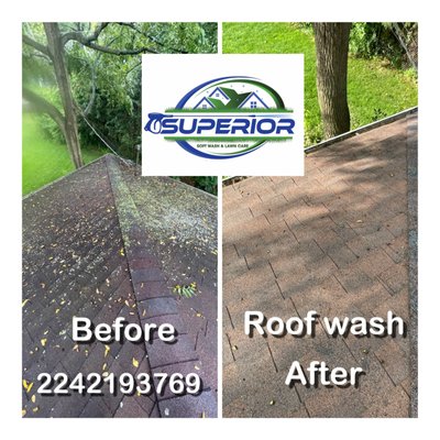 Safe low pressure roof cleaning