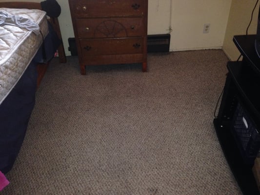 The after picture of our Carpet Cleaning