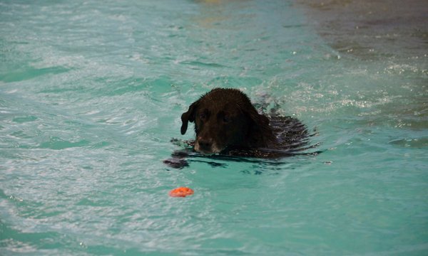 Swim class for Luke.