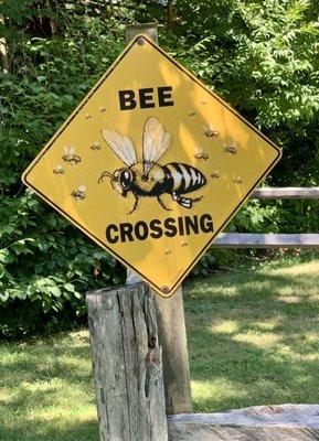 Bee Crossing Sign!