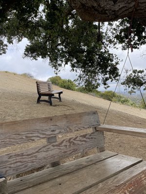 Bench and swing