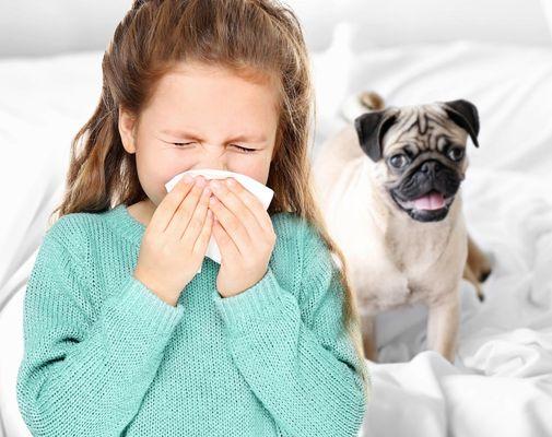 Watkins Allergy And Asthma Clinic - Jacksonville