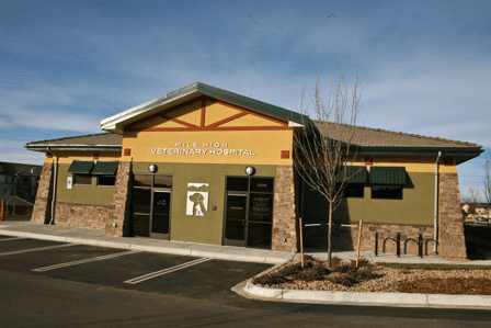 Veterinary Hospital in Aurora, CO - Clean, Professional Care for your Pets