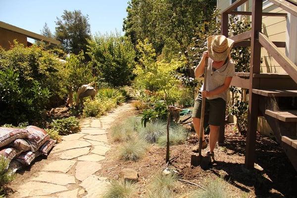 Digging Basins for a rain garden