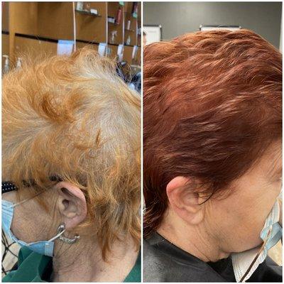 Fantastic Sams Cut & Color