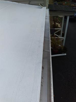 New gutter/gutter guards