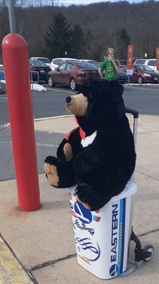 Who knew I'd get jumped at the Ephrata Walmart, by a cute black bear!