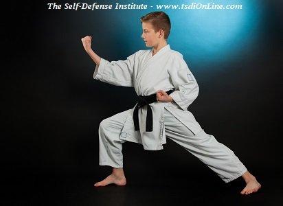 The Self-Defense Institute, www.tsdiOnLine.com