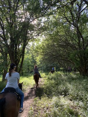 Millbrook Trail Rides