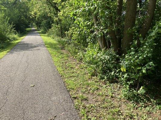 Bike Trail