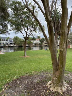 Views of the canal.