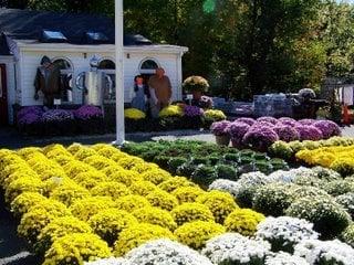 Fall at the Farm!