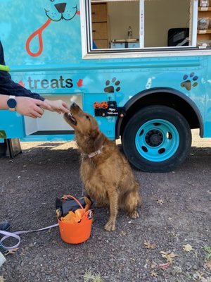 Treat truck event at the dog park