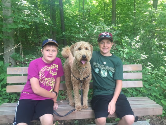 Walks and photo ops in the woods with"her boys!"