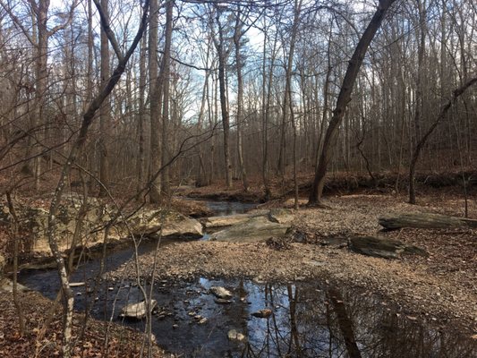 It's nature trail. I live walking here, it's not to big and not crowded.