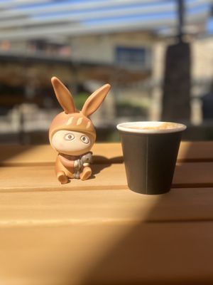 Cappuccino with my toy