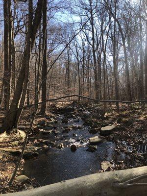 Dismal Brook looking not so dismal.