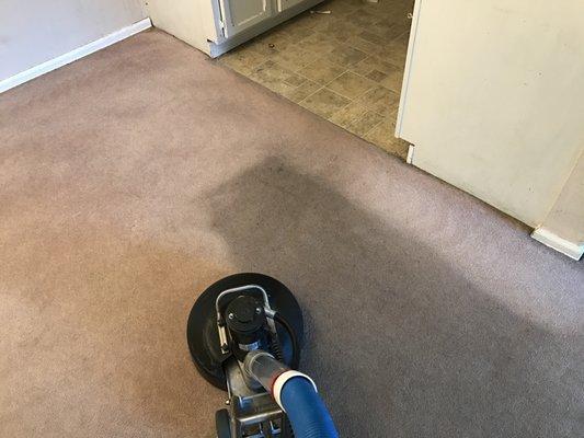 Apartment carpet cleaning in Boulder