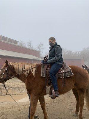 Gibson Ranch County Park Equestrian Services