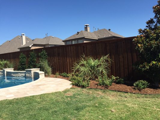 New pool landscape in McKinney, TX.