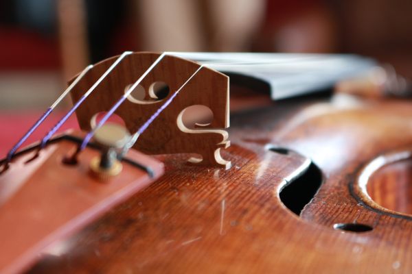 Join the String Academy and learn the beauty of playing a string instrument.