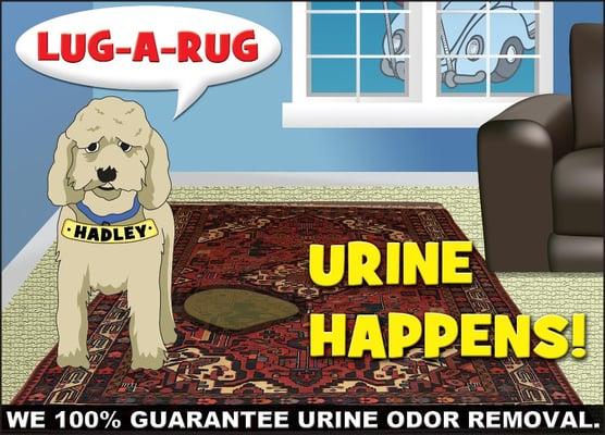 Area rugs are where dogs love to do their business. We love doing business with dog lovers! Guaranteed urine odor removal.