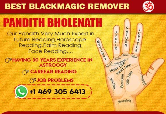 Astrologer Pandit Bholenath