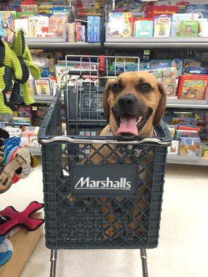 Marshalls