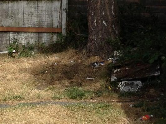 Garbage littered throughout the back yard of a property Safeguard is contracted to maintain.