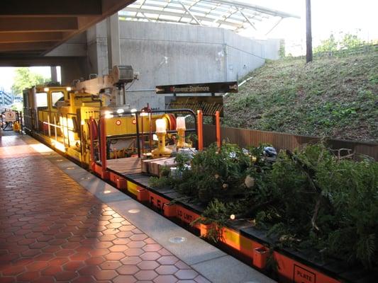 Christmas Tree harvesting at Metro?