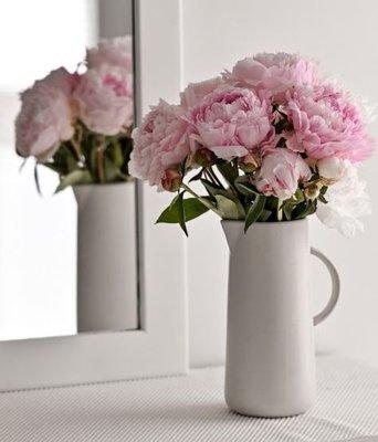 We'll tell you how to care for your peonies to give your home lasting beauty.