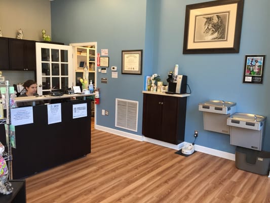 Our reception desk and lobby