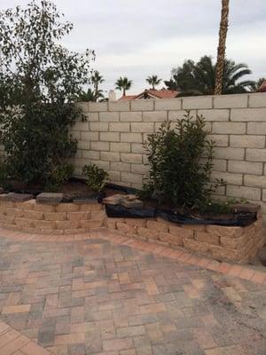 Fire pit, pavers patio and shrub installation