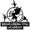 Capoeira Brincadeira Viva Academy