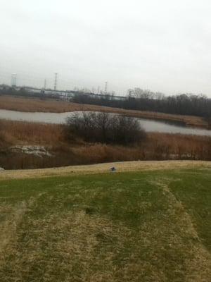 Wetland Waters on side of school