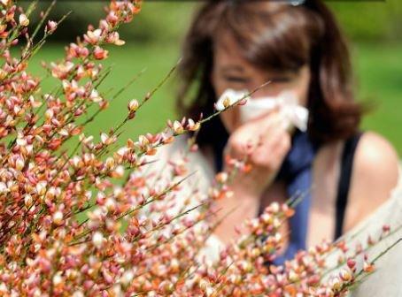 Allergy and Asthma Associates - Crystal Lake