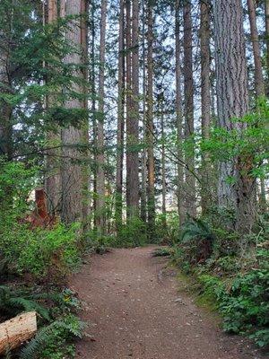 On the main trail