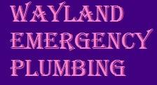 Wayland Emergency Plumbing