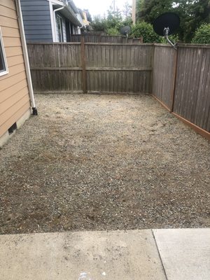 Backyard (after)