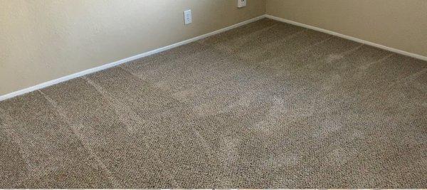 This is how clean my carpet was when I moved out.  I want my full deposit back!