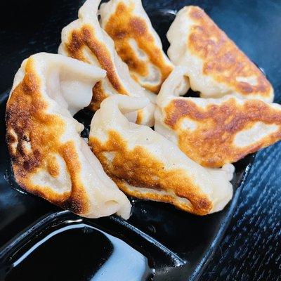 Pork Dumplings