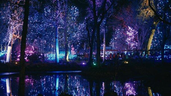 Zoo lights event