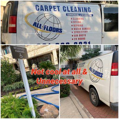 All Floors Carpet Cleaning