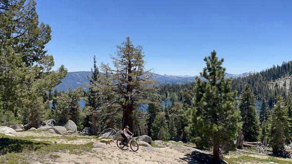 Tahoe mtb trail